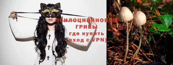 mdpv Заволжск