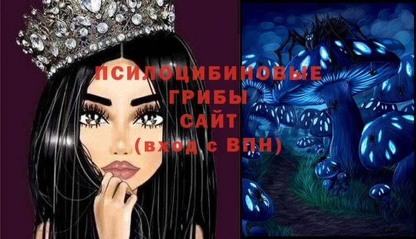 МДМА Заводоуковск