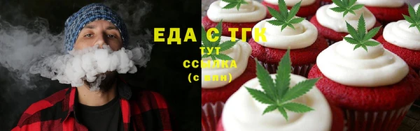 крисы Кулебаки