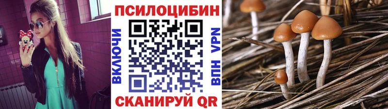 Галлюциногенные грибы прущие грибы  МЕГА tor  площадка какой сайт  Сосногорск 