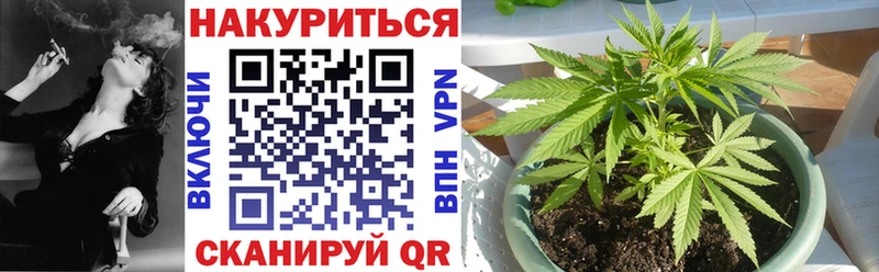 Бошки Шишки планчик Сосногорск